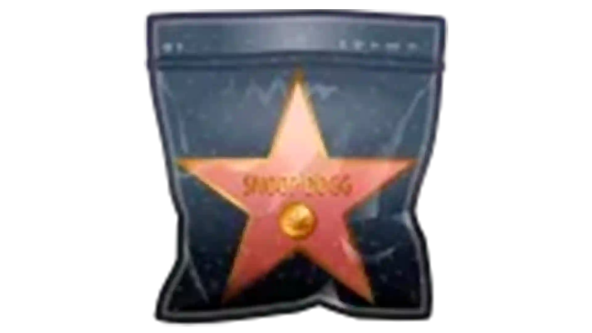 Swag Bag [Walk Of Fame]